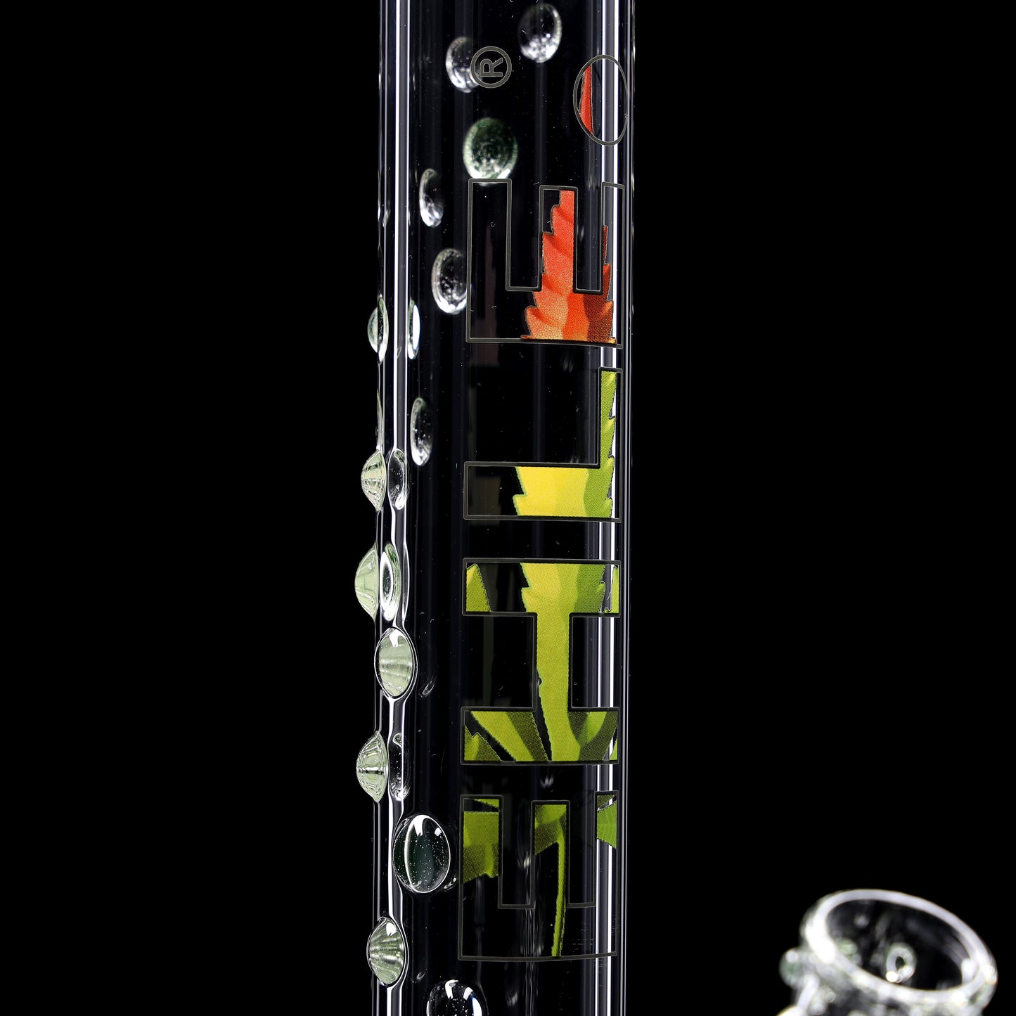 EHLE. Beakerbong Illuminati