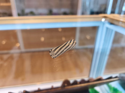Glass Filter Tip - 9mm